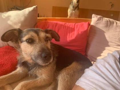 Katja. ist etwas ganz besonderes