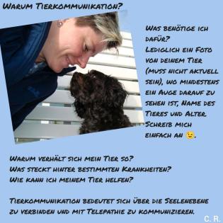 Tierkommunikation Telepathie Chrisi Reis