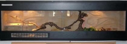 Terrarium 160 x 30, 5 x 50, 5 cm samt Inhalt aus Umzugsgründen dringend abzugeben