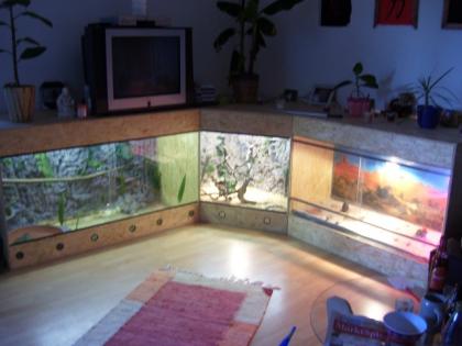 Terrarienbau nach Maß günstiger als Gebraucht