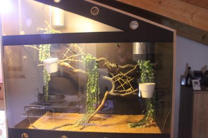 Hoch/Schrägterrarium für Chamäleons oder Schlangen