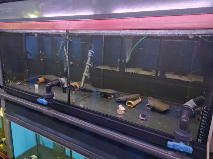 Profi Aquarium - Fisch-Zuchtanlage mit Ablaufvorrichtung
