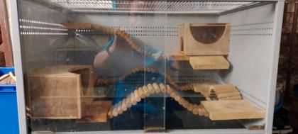 Neues Terrarium 10 verschiedene Vogelkäfige Zubehör