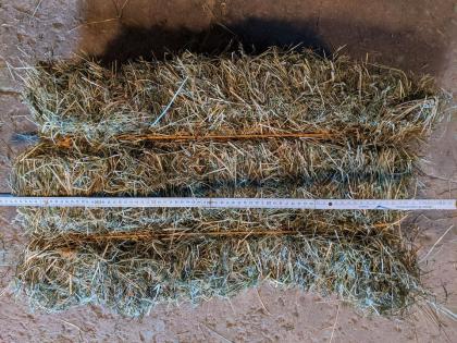 Heu HD Heuballen Bio 2024 Pferd Kaninchen Schafe Hase Meerschwein
