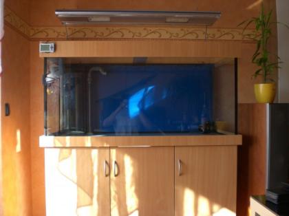 Verkaufe 468 liter Aquarium Meerwasser mit Zübehör