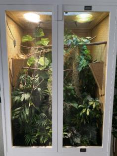 Terrarium für Chamäleon