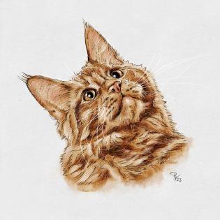 Besonderheit Katzenportraits Tierportraits ab Foto im Miniformat