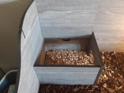 Terrarium mit 2 Schildkröten