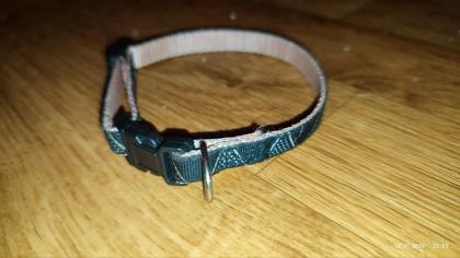 Neu Nylon Halsband Welpen Hunde katze S schwarz Dreieckmotiv