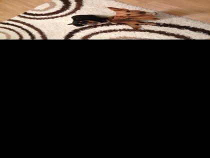 Murmel und Sally suchen ein Zuhause