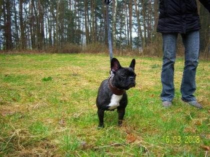 SELTENHEIT FRANZ. BULLYS IN GANZ HELL GESTROMT