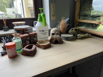 Terrarium mit 3 Leopardgeckos -vollausgestattet Zubehör