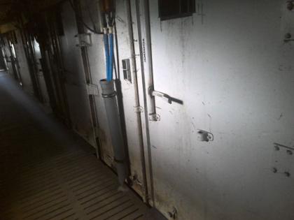 40 Fuß HC Isoliercontainer, Rinder, Schweine, Stall