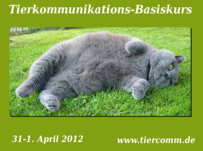 Kurs Tierkommunikation Bremen 31. 03. - 01. 04. 2021