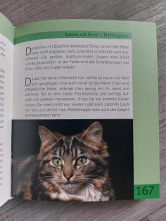 Handbuch für Katzen Tierbuch - Rassen, Pflege, Gesundheit