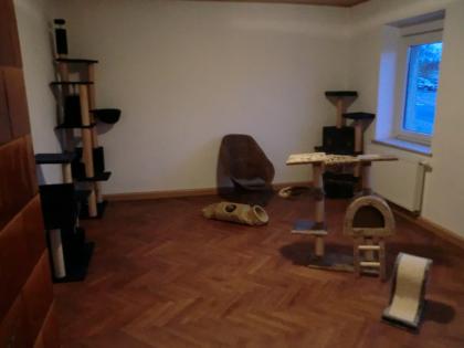 Katzenpension Meissen