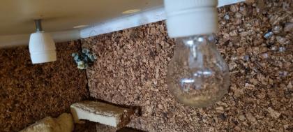 Terrarium PVC 110x55x55 mit Technik