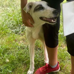 Zola / Status sucht ein Zuhause