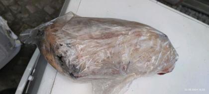 Geflügel Hahn Ente gefrostet auch frisch