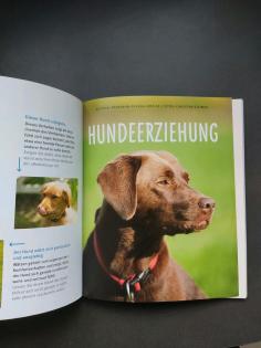 Hundeerziehung. Gut erzogen - fit für den Alltag v. Schlegl-Kofle