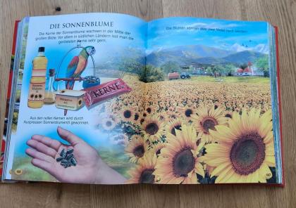 Mein goldenes Buch der Tiere Tierbuch