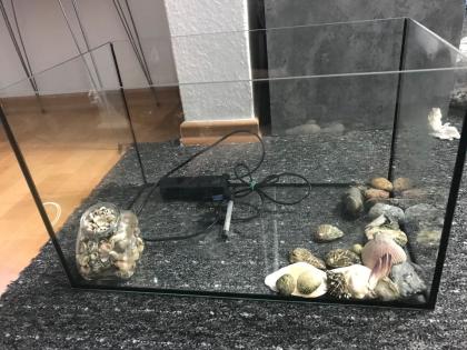 Aquarium mit fisch und zubehör