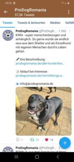 Wem dürfen wir treu zur Seite stehen