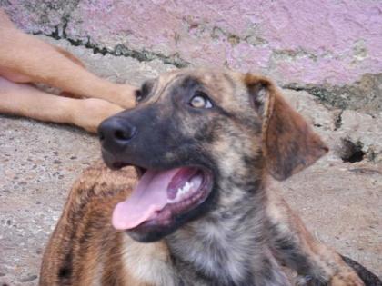 Trust - Charmeur mit Blick zum Dahinschmelzen sucht eine Familie