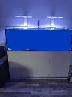 Meerwasseraquarium 750l