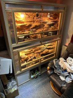 Wüstenterrarium mit Leopardgeckos 3 Stück