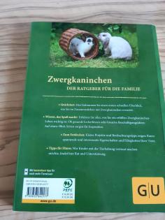 Zwergkaninchen