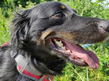 DJ Bobo. liebt es im Garten zu laufen