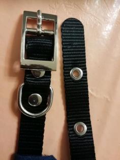 Halsband mit Halstuch abnehmbar, neu