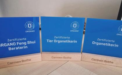 Tierkommunikation Organetik