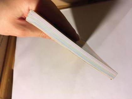 Hunde erziehen Hundeerziehung Welpenerziehung Hunderatgeber Buch