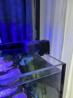 Meerwasser Aquarium