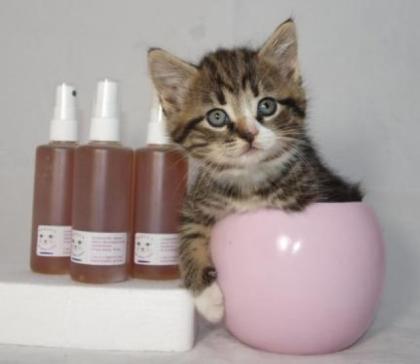 Übler Geruch im Katzenklo Baron s Katzenwc-Fresh Clean, Spray-Deo m. Katzenm