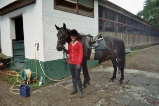 Suche Reitbeteiligung