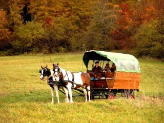 Planwagen für 10 Personen