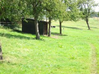 Box/en frei