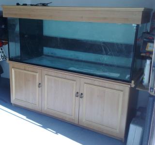 Juwel Tolles 480 Liter Aquarium 160x50x60