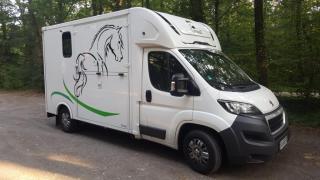 Pferdetransport. Pierkes fragen