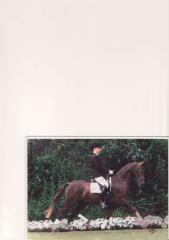 Charakterstarkes, Liebes Sportpony