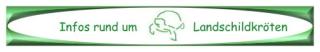 Infos über Landschildkröten