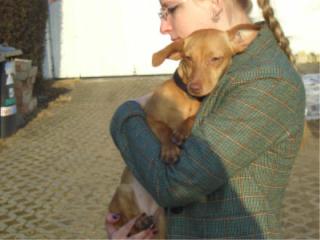 Liebe Familie gesucht