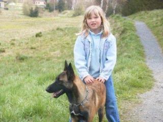 Malinois