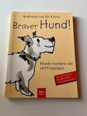 Braver Hund Hundeerziehung mit viel Vergnügen