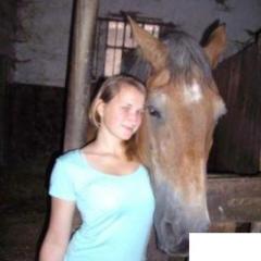 Biete Reitbeteiligung 2x wöchentlich Bergen/Hermannsburg KB Pony