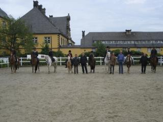Reitbeteiligungen Westfale, Reitpony, Vollblutaraber, Welsh A