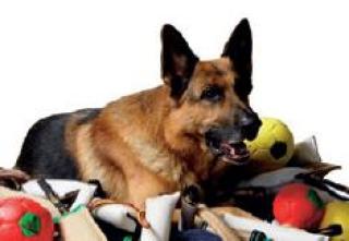 Kauartikel und Hundesport Zubehör